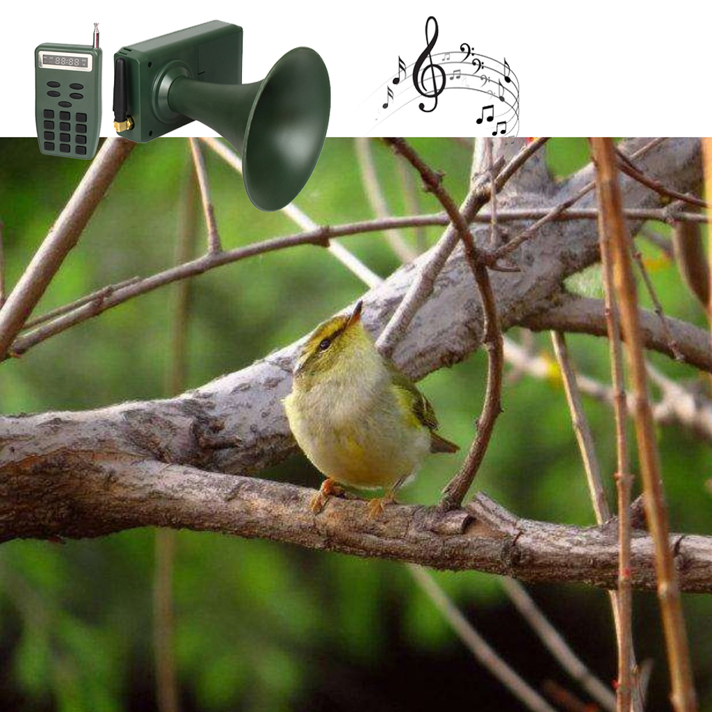 Hunting Decoy Bird Caller Bird Sound Loudspeaker Amplifier Outdoor Device Bird Sound Loudspeaker Amplifier Machine