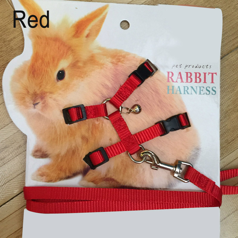 bunny leashes for sale