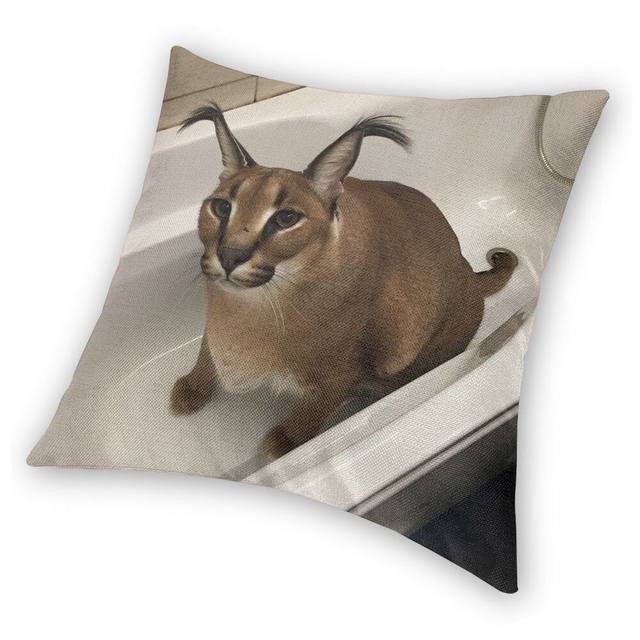 Caracal gato cobertores floppa animal flanela novidade macio lance cobertor  para cama lounge verão - AliExpress