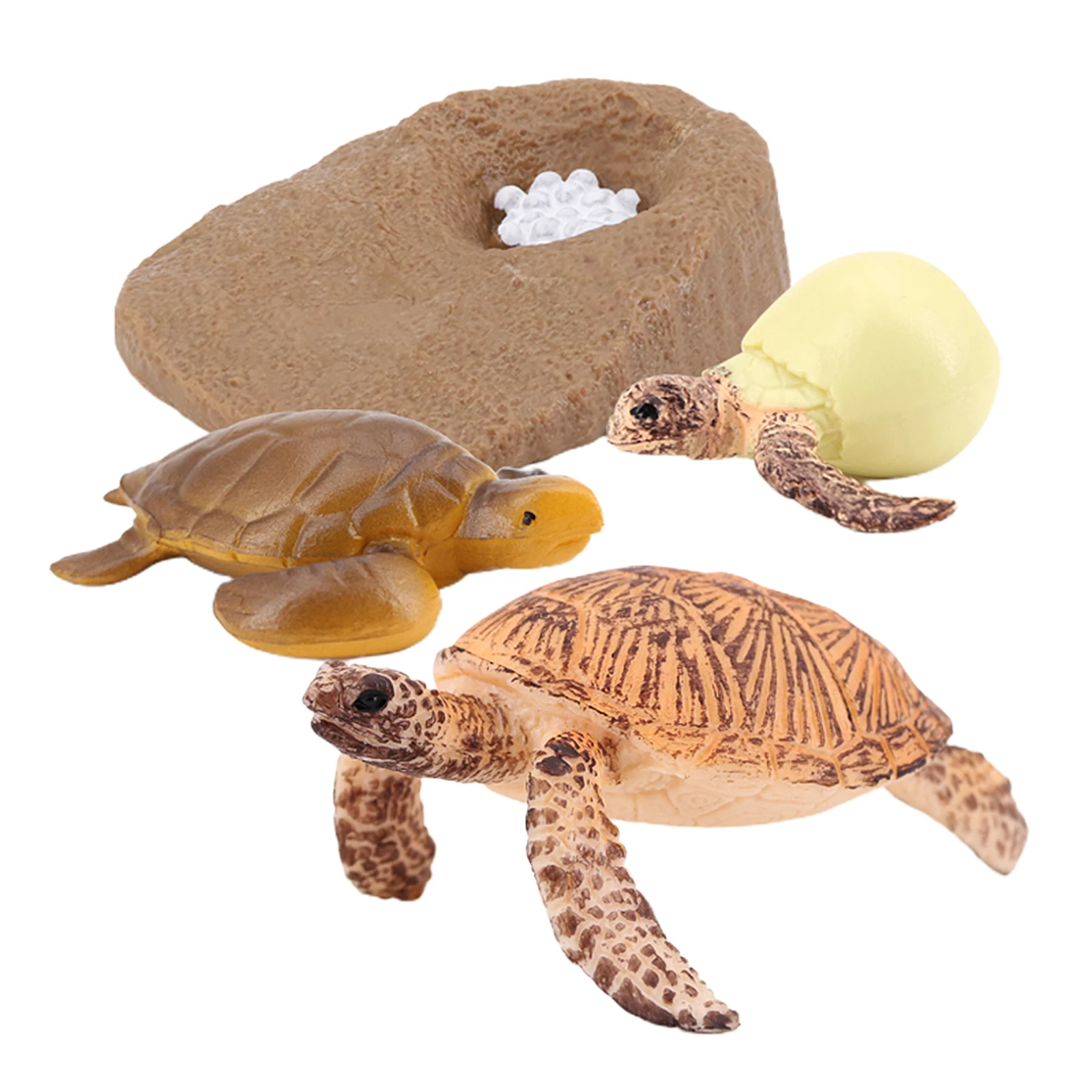 Toy Growth Cycle Life Cycle Model Set Sea Turtle Figures Gifts for Kids 