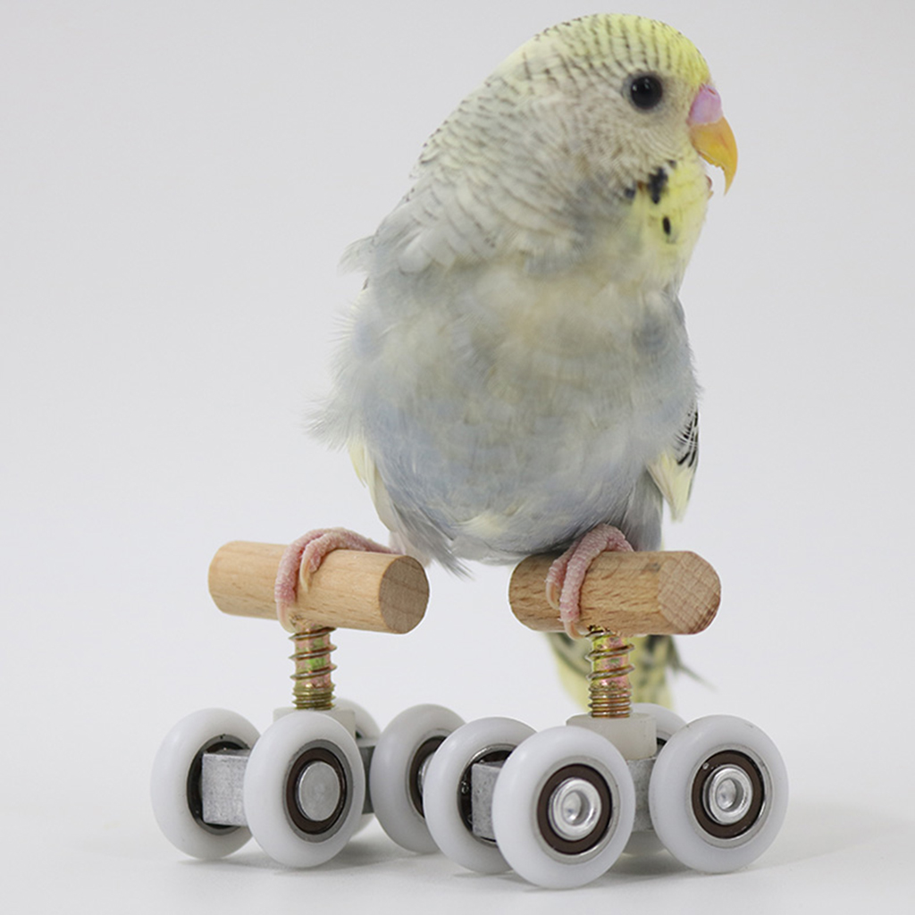 Pet Playground Tabletop Parrot Roller Ice Skates Toys Bird Activity Toy