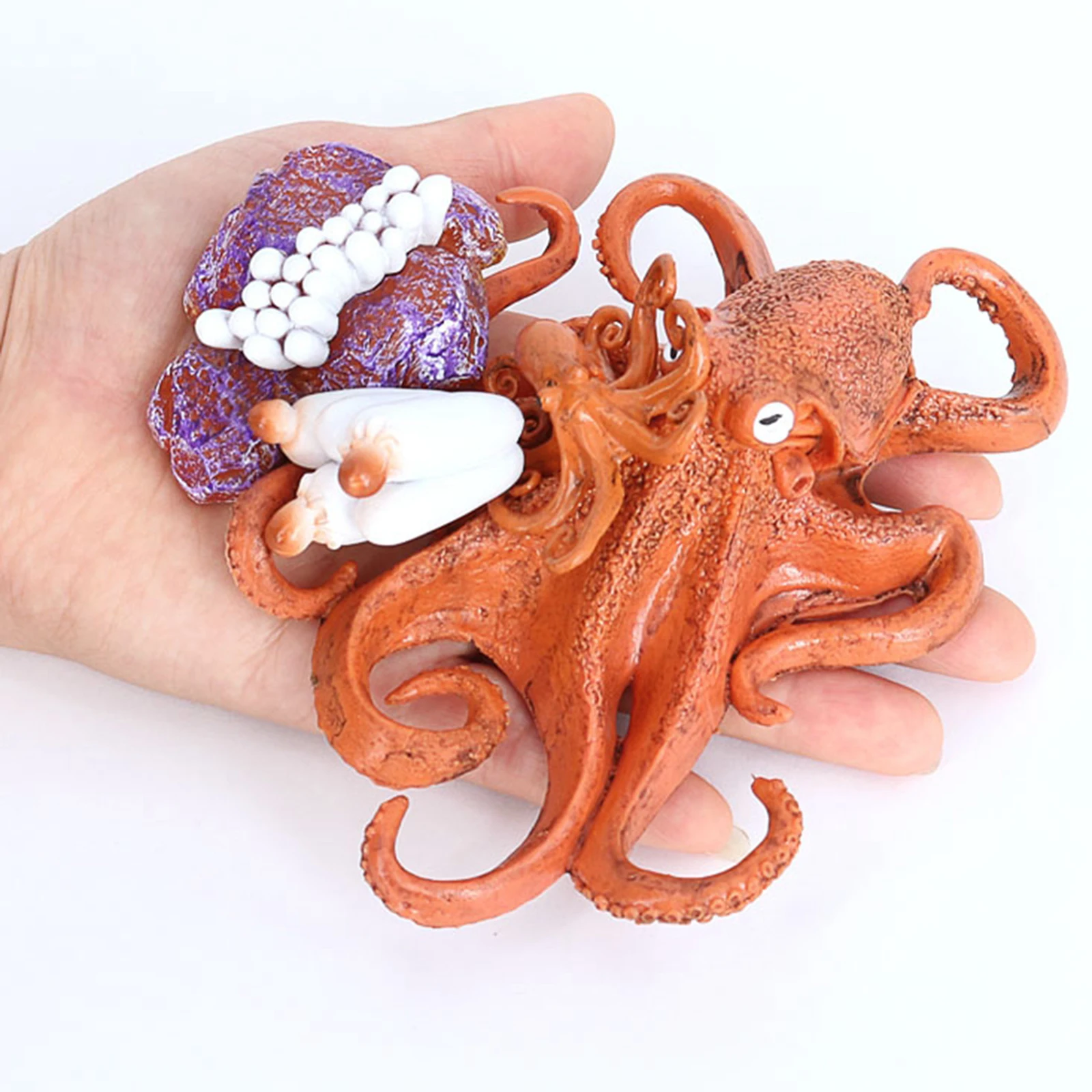 4 Stages Life Cycle of a Octopus, Insects Plastic Octopus Toy Figure - Authentic Hand Painted Model