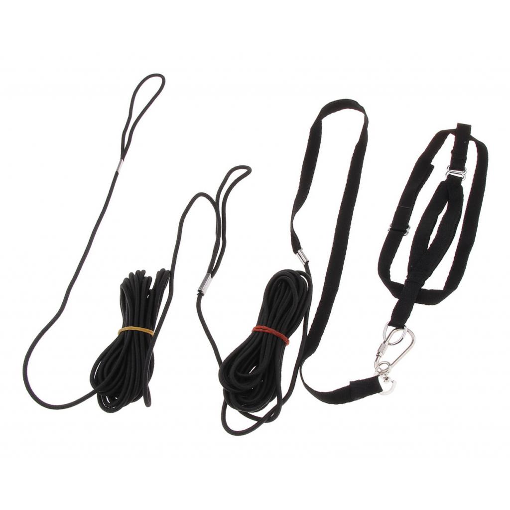 Parrot Adjustable Bird Harness and Leash Outdoor Walking Safe Traction Rope