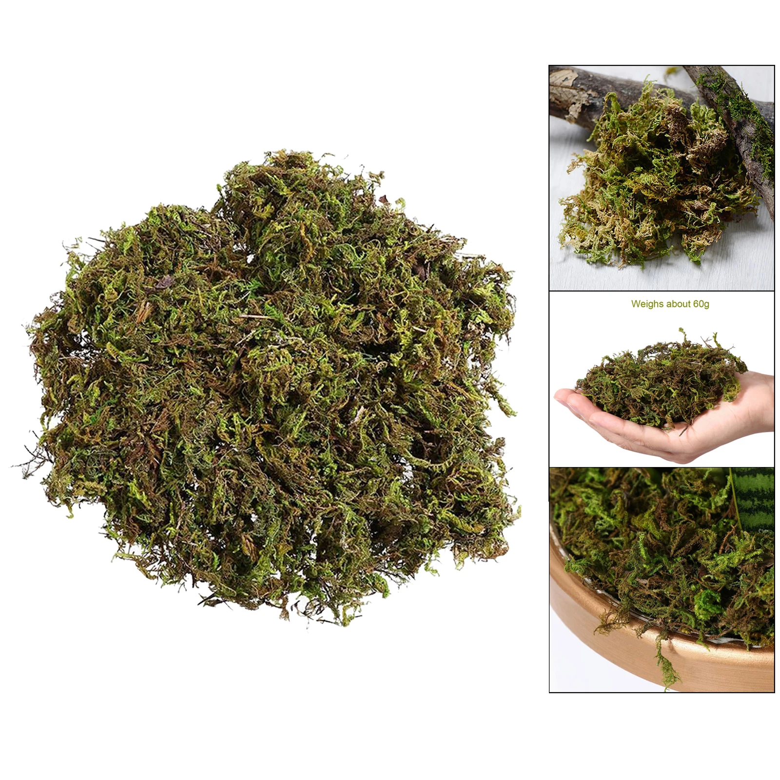 100g Artificial Dry Green Moss Decoration Dressing for Fairy Gardens Crafts