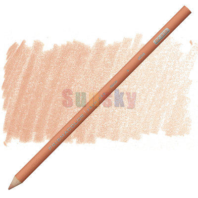 12 Pieces Of Skin Tone/Metal/Macaron Colored Pencils Set Oil-Based