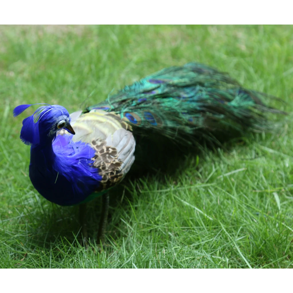 Vivid Artificial Peacock Bird Realistic Taxidermy Home Garden Decoration,