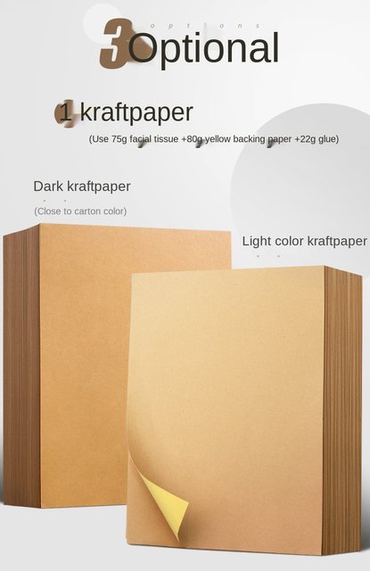 Papier kraft A4 120g en chemise de 100 feuilles