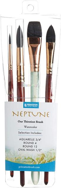 Princeton Brush Professional Boxed store Set, Neptune