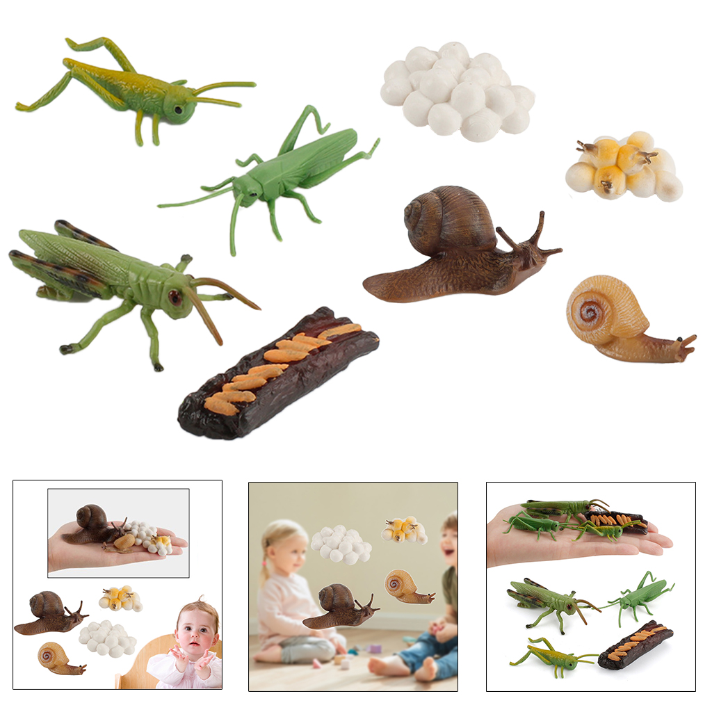 Simulation Grasshopper / Snail Growth Kids Pre-school Biology Toys Role Play