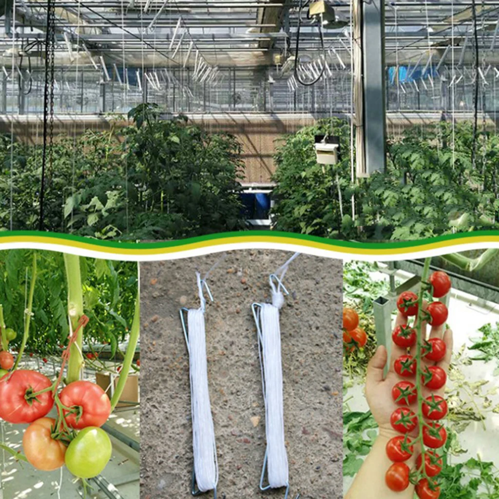 Garden Tomato Hooks Clamps For Planting Vegetable Cucumber Tomato 5Pack 