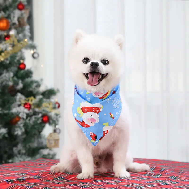 Un pequeño perro blanco sentado en una mesa. El perro lleva un pañuelo con un tema festivo navideño, con Papá Noel y otras imágenes relacionadas con las fiestas. Al fondo, hay un árbol de Navidad decorado con adornos y luces, lo que sugiere que la foto fue tomada durante la temporada navideña.