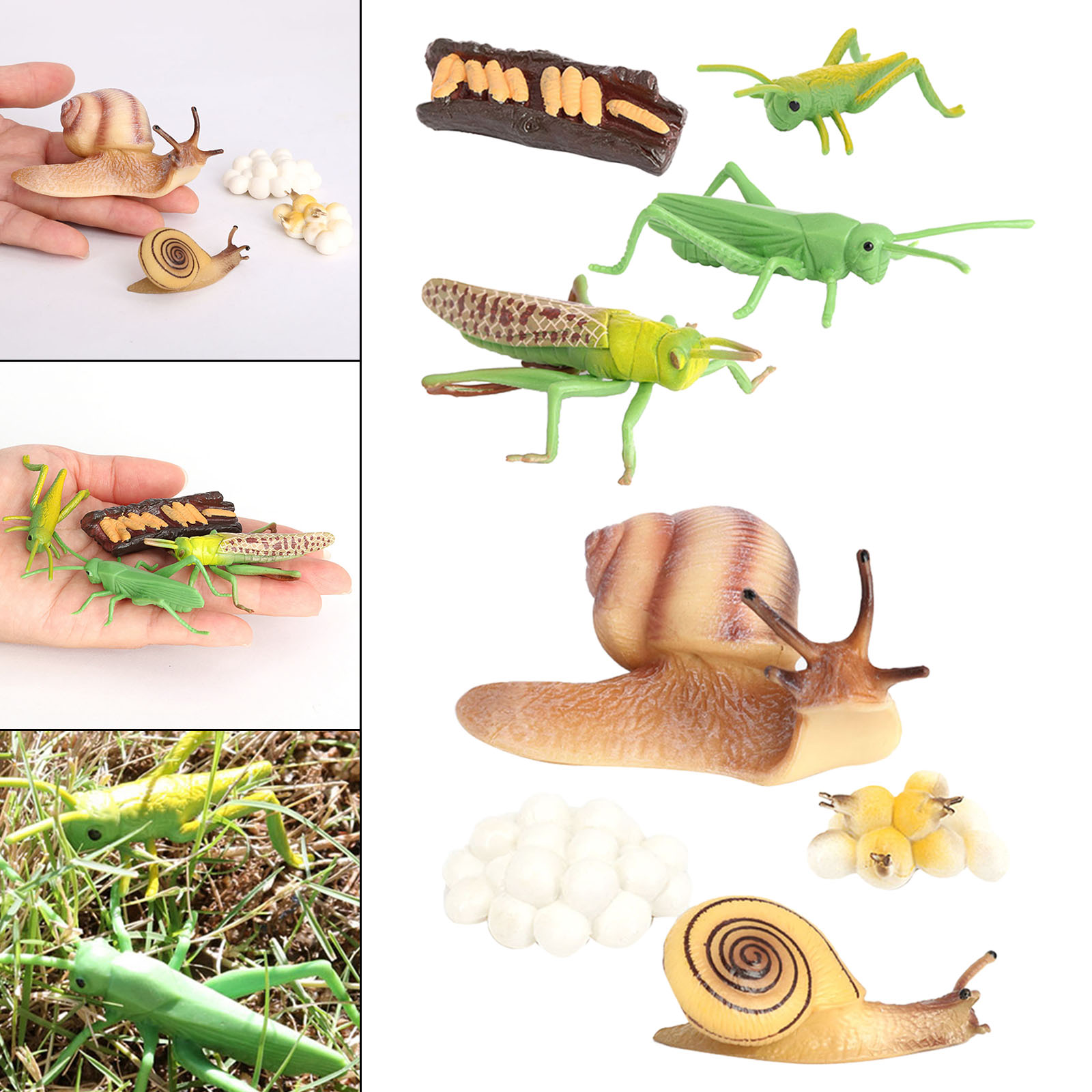 Kids Simulation Animal Figures Toys Grasshopper Snail Growth Process Models