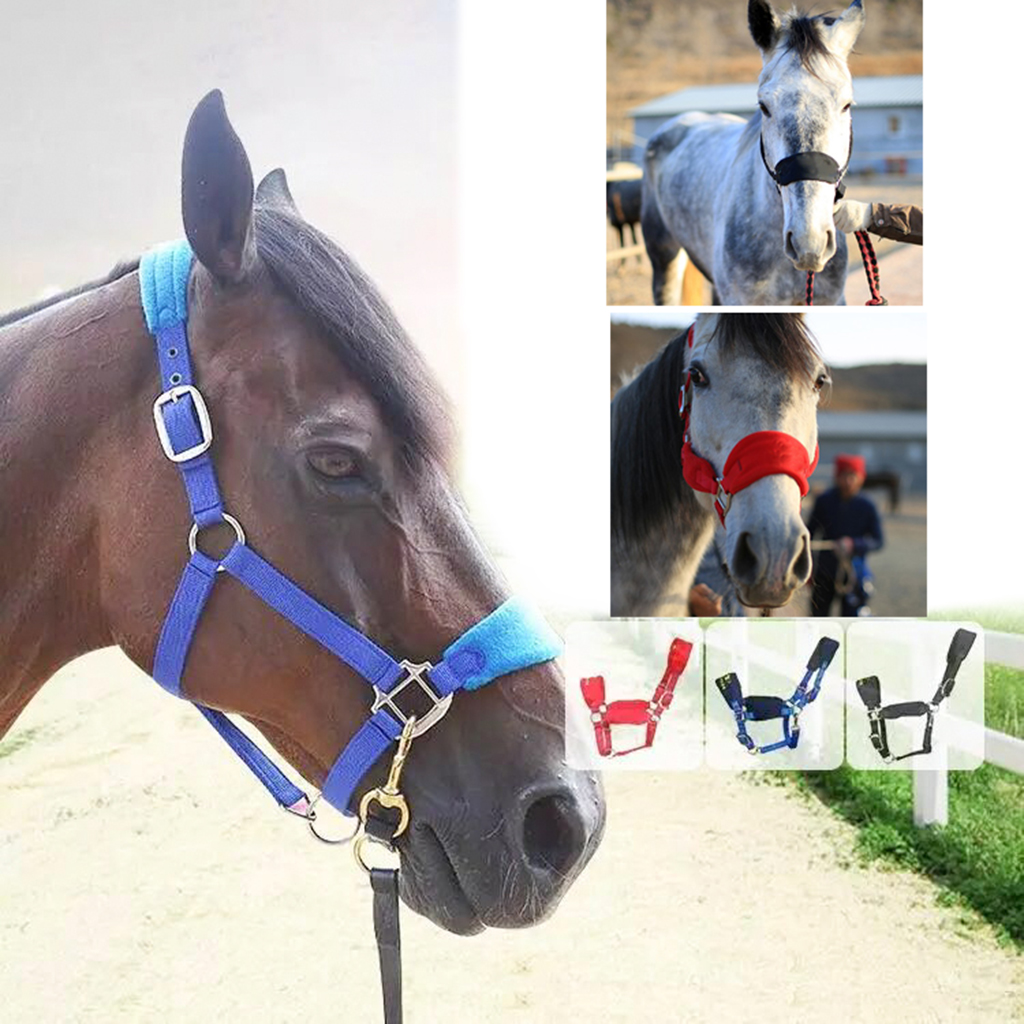 Padded Pony Cob Horse Halter Bridle Rein Equestrian Adjustable Head Collar Strap