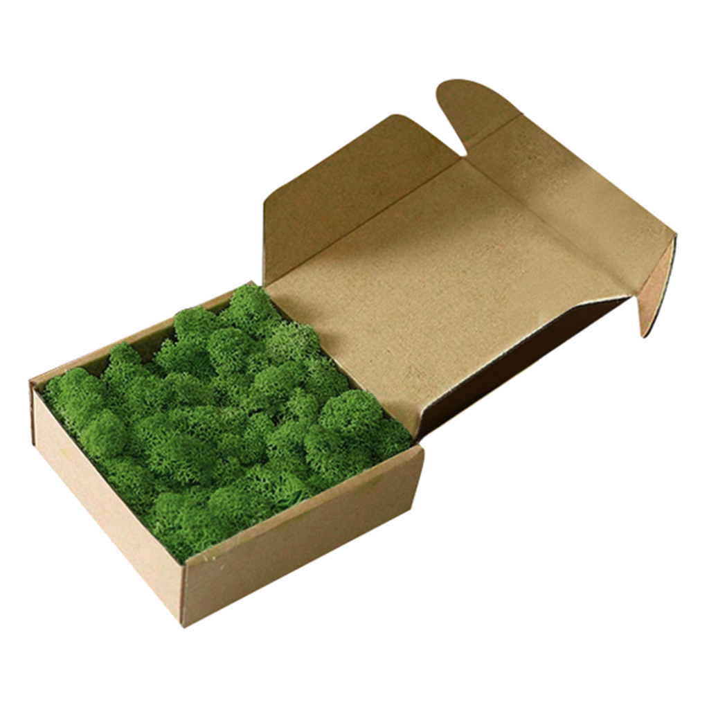 Wall Fake Decorative Moss Realistic Ornaments For Bedroom Decoration Gifts