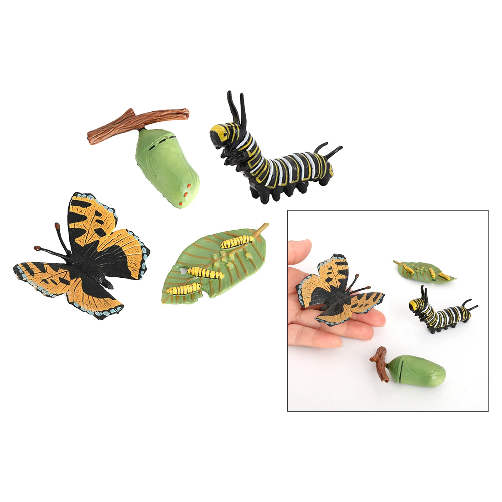 Insect Butterfly Lore  Life Cycle - 4 Pcs Insect Figure Shows Life Of Lady Bug