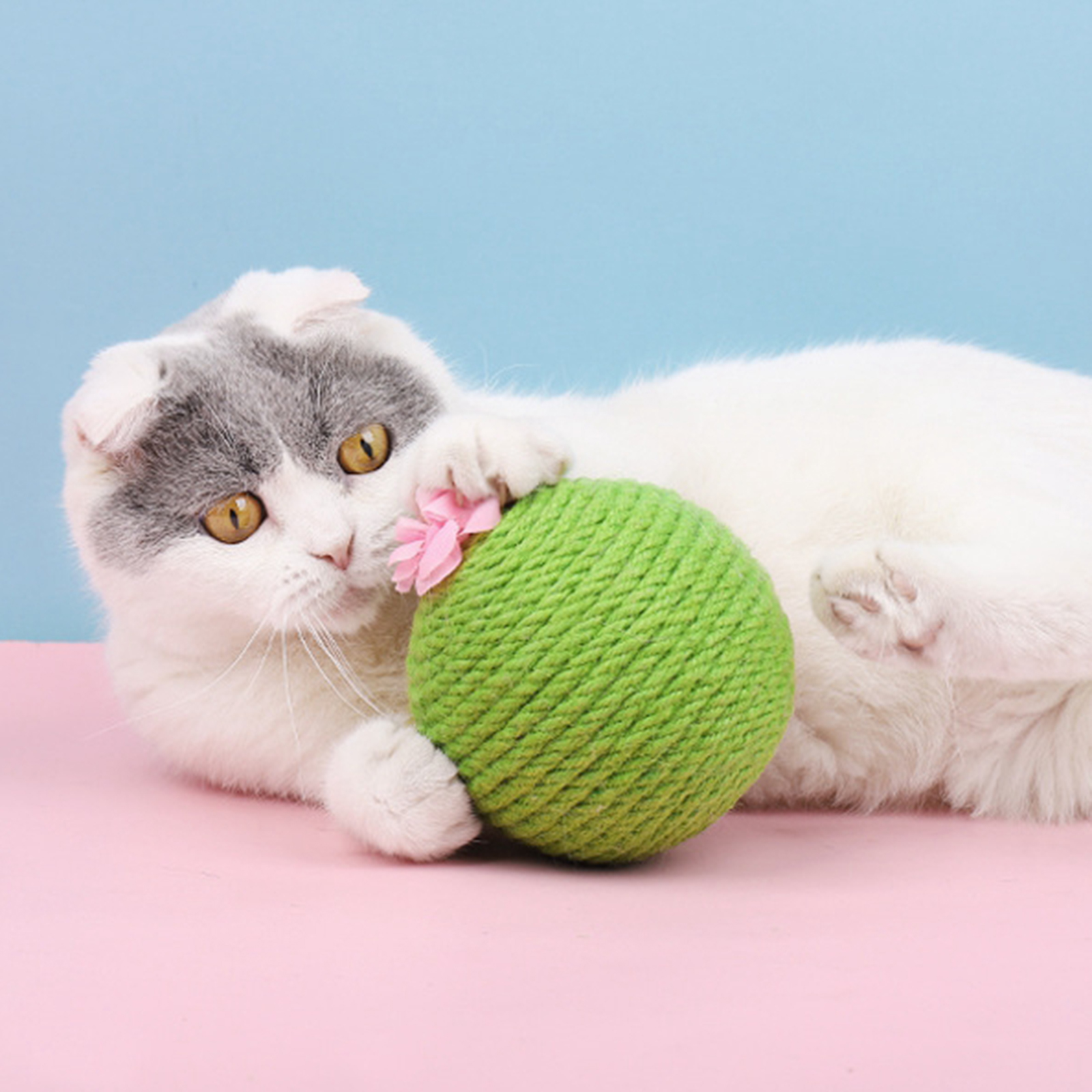 Cat Cactus Ball Toy, Pet Cats Scratching Sisal Rope Wrapped Ball with Catnip Inside Ball Track Interactive for Kittens Playing