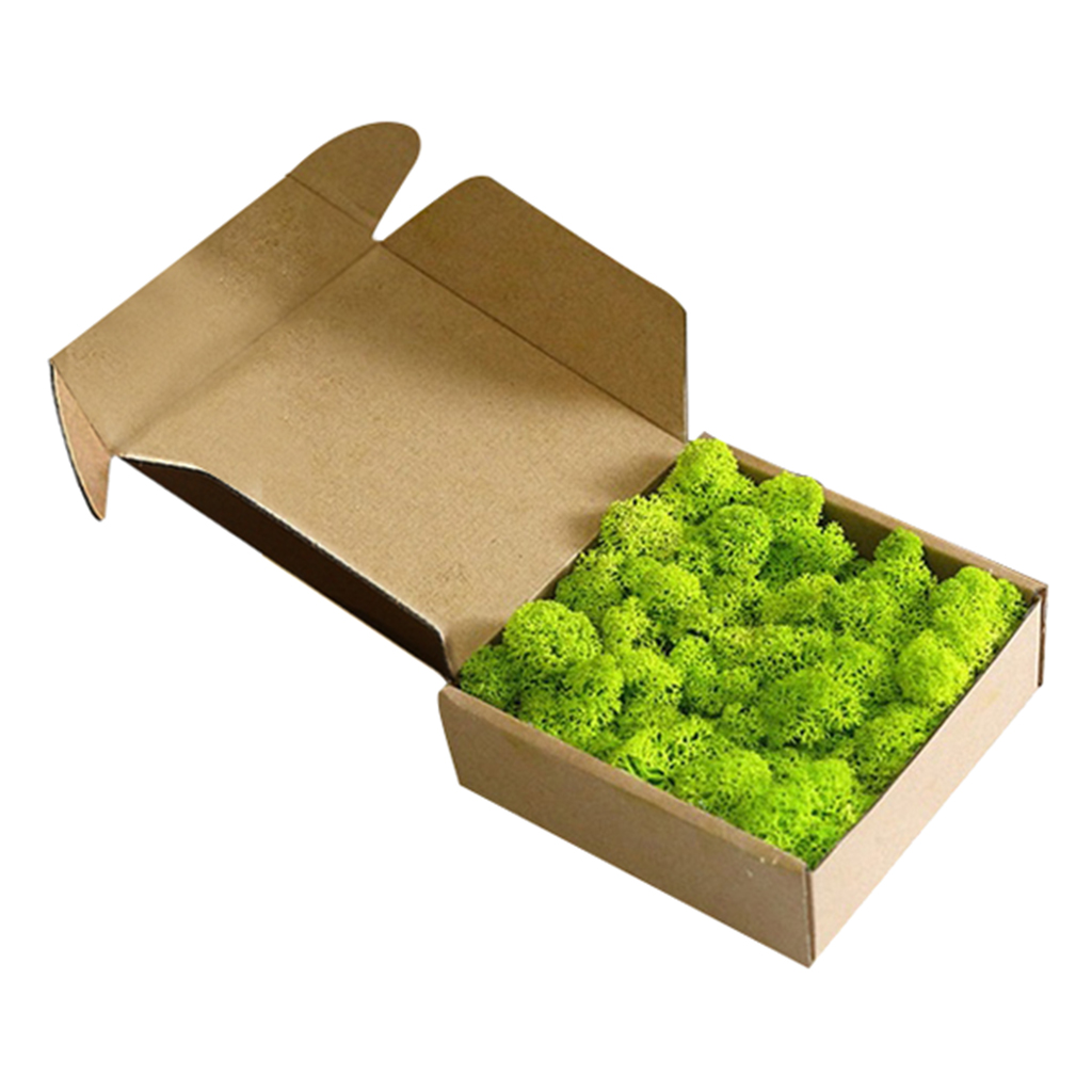 Wall Fake Decorative Moss Realistic Ornaments For Bedroom Decoration Gifts