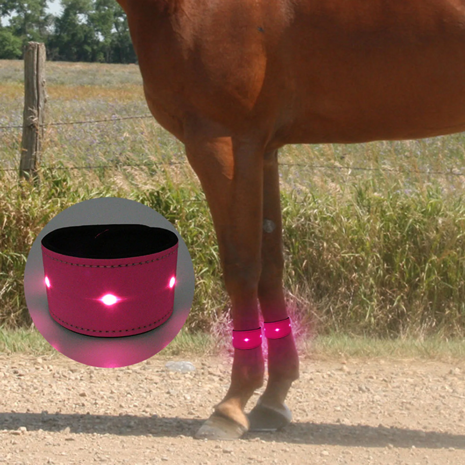 LED Luminous Horse Leg Protection Belt Luminous Equipment Reflective Leg Ankle Strap Night Walking Horse Riding
