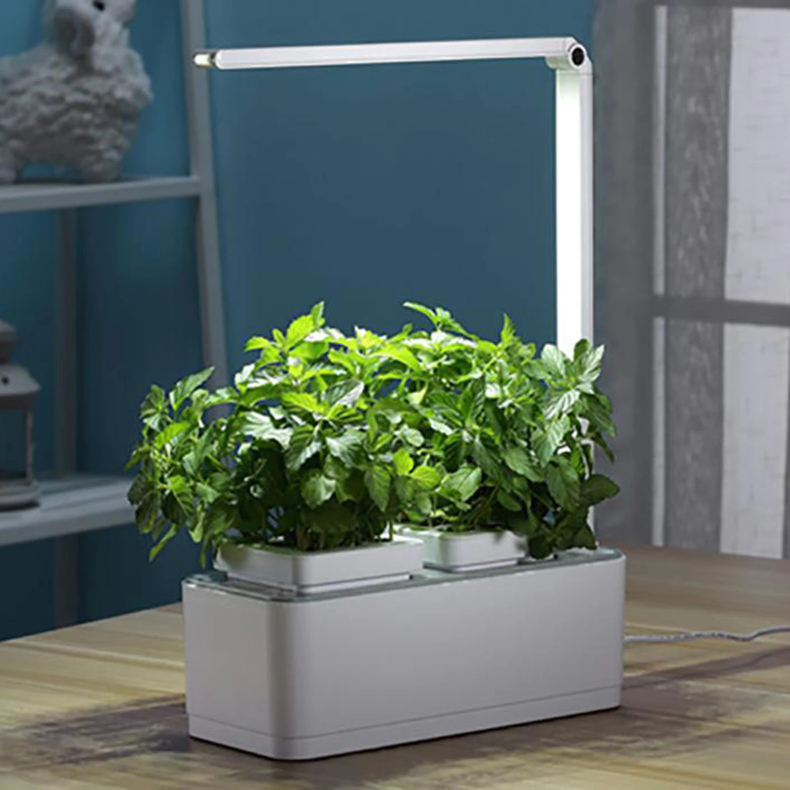 Hydroponics Growing System 18  Indoor Herb Garden Kit LED Grow Light AU