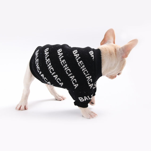 Balenciaga fashion dog sweater