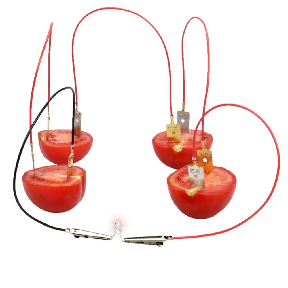 Children Fruit Battery Power Educational Electricity-generating Experiment Toy 