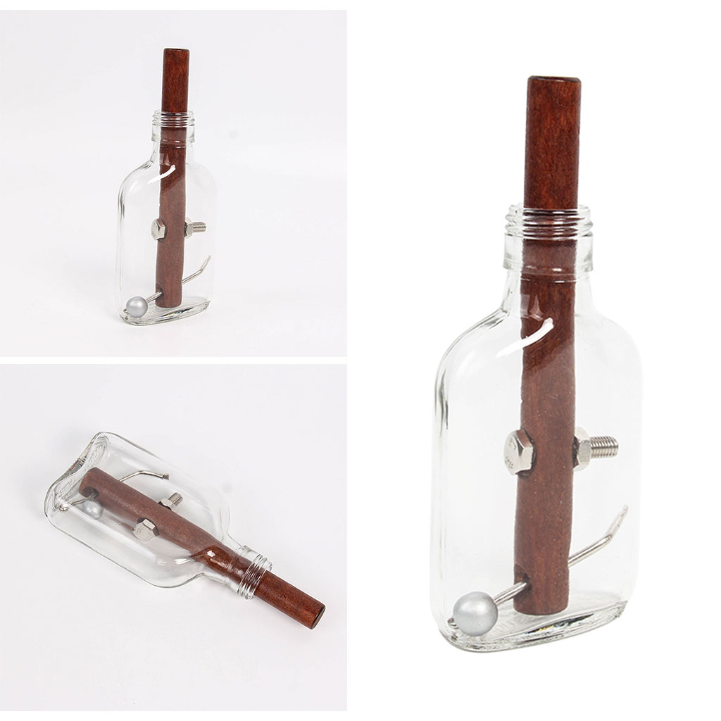 IQ Glass Bottle Puzzle Assembly and Disentanglement 3D Puzzles Intelligence Stress Relief Game Gifts