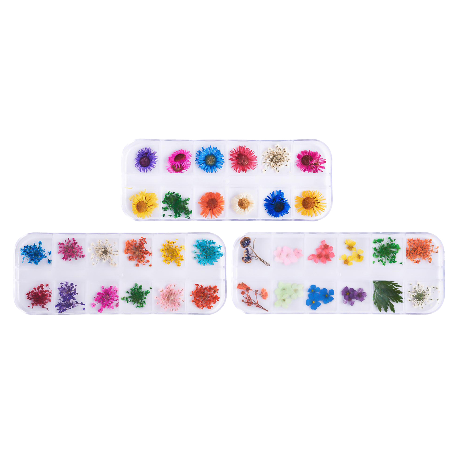 12 Color Real Dried Flowers 3D Nail Art Decor Design Manicure Accessories