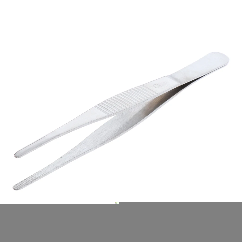 Stainless Steel Tweezers Straight Serrated Tip Round Head 140mm / 5.51''