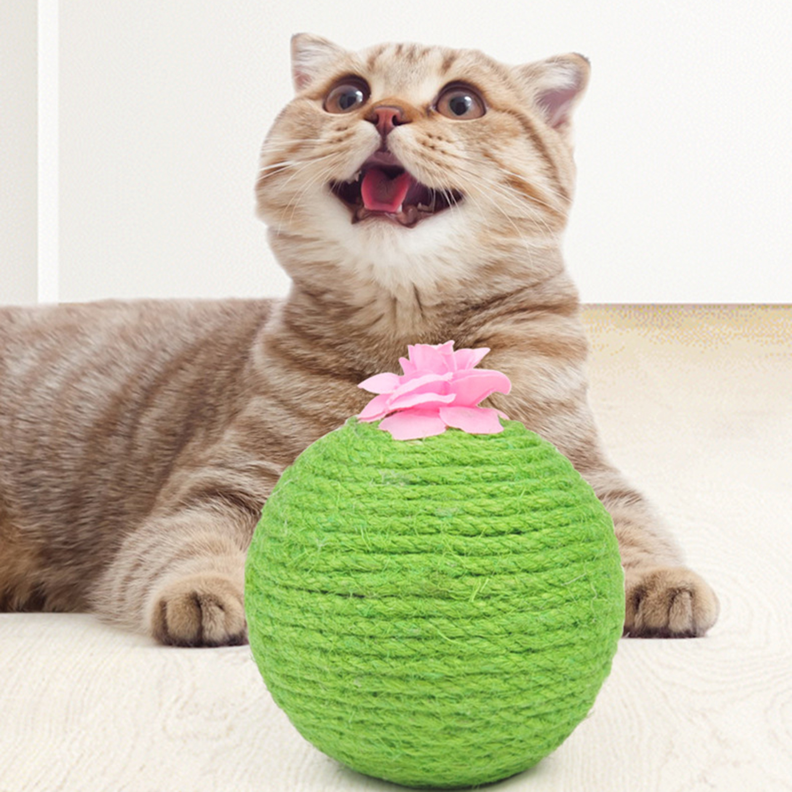 Cat Cactus Ball Toy, Pet Cats Scratching Sisal Rope Wrapped Ball with Catnip Inside Ball Track Interactive for Kittens Playing