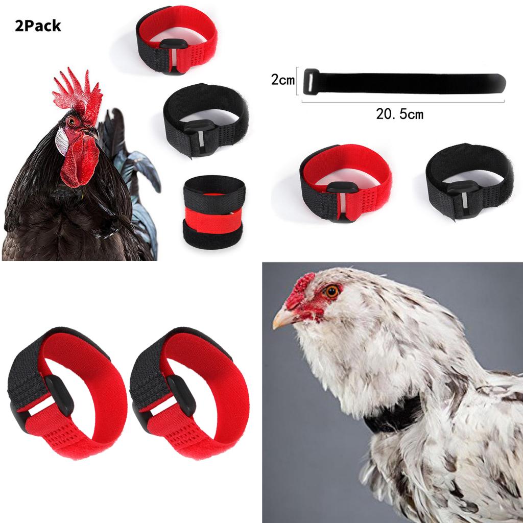 Set Of 2 Anti Crowing  Collars With No Crowing Noise Neck Belt