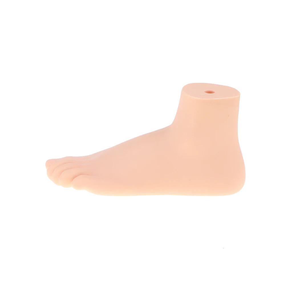 1:1 Lifesize Human Normal/ Flat Foot Model Anatomique Pied with Ligaments Bones Muscles Medical Anatomical Study Kit