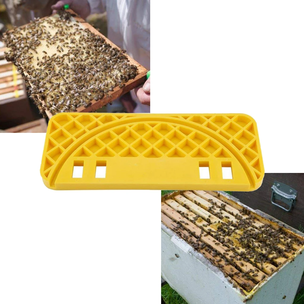 Beekeeping Scraper Tool Durable Plastic Honey Bucket Nest Frame Shelf