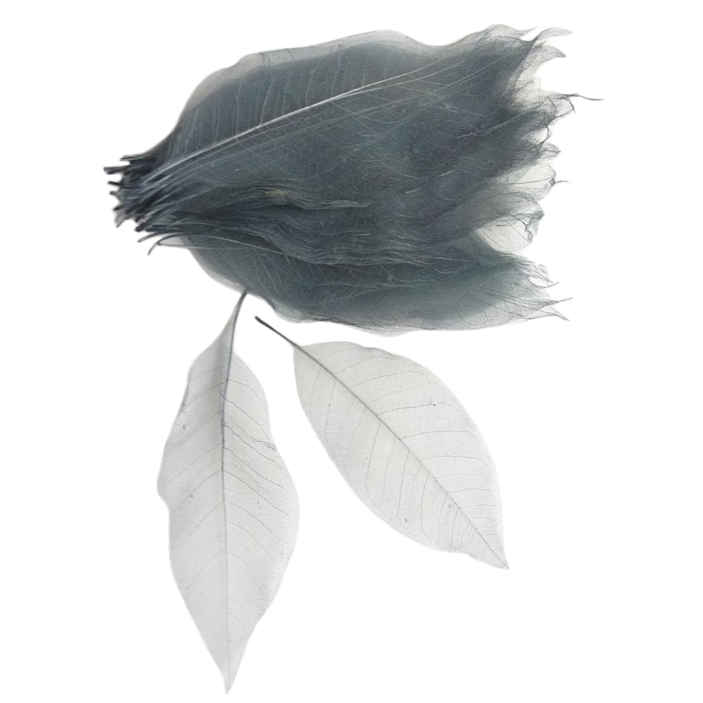100 Pieces Magnolia Skeleton Leaf Leaves for Wedding Invitations Card Making Christmas Party Gift Wrapping Decoration