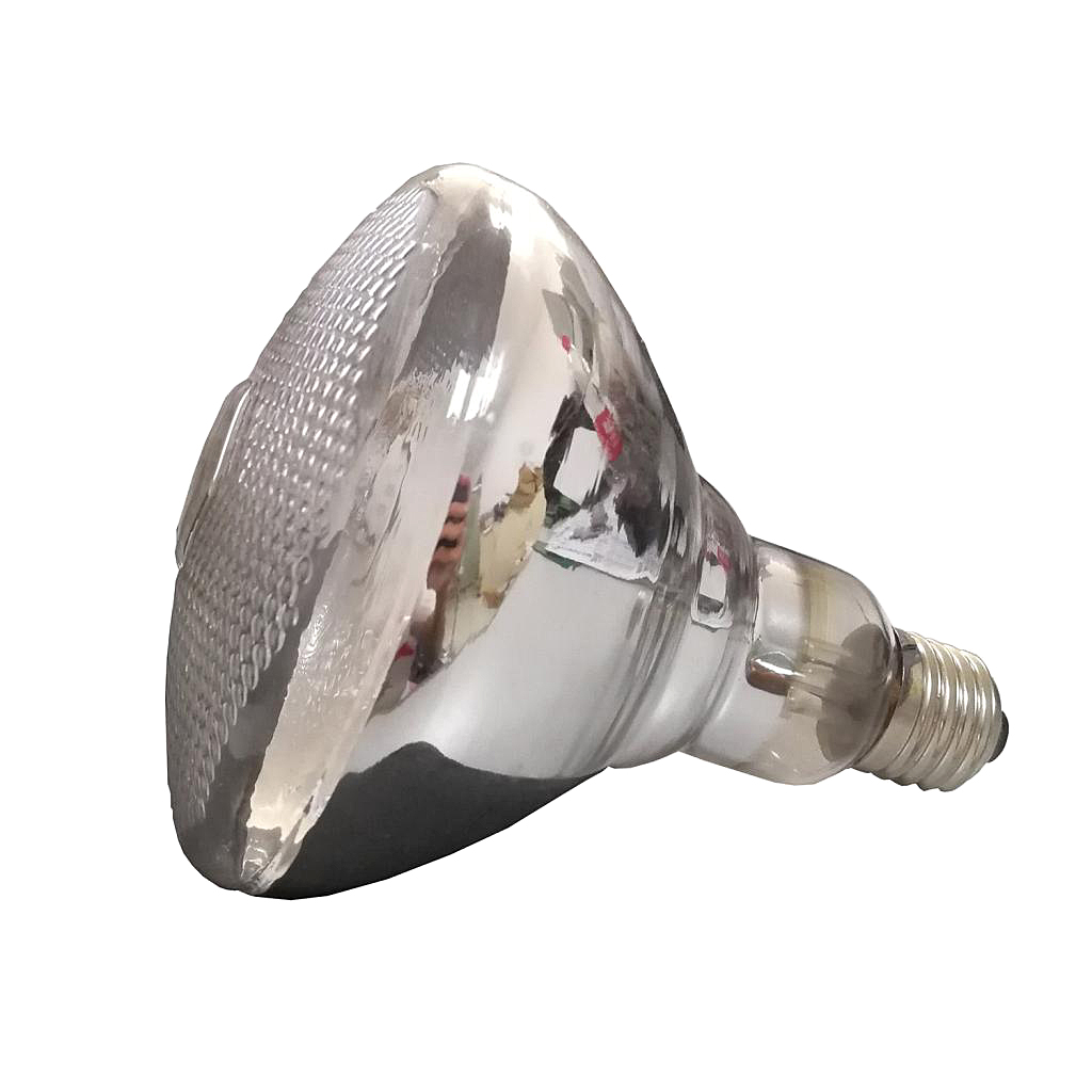 petsola 220V-240V 250W Infra-red Heat Bulb Lamp White Light Piglet Livestock Brooder