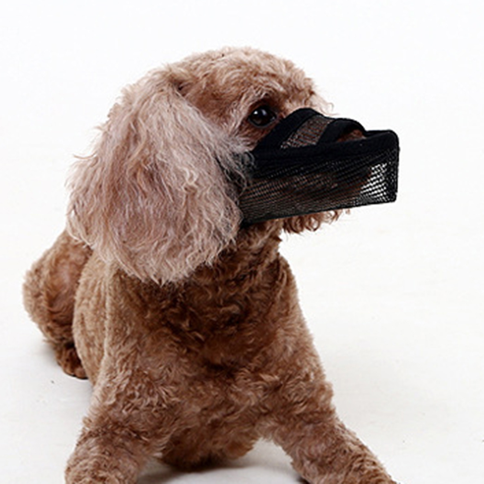 Breathable Soft Dog Muzzle for S M L Dogs Air Mesh Pet Mesh Muzzle Dog Mask Anti-Barking for Long Snout Dogs