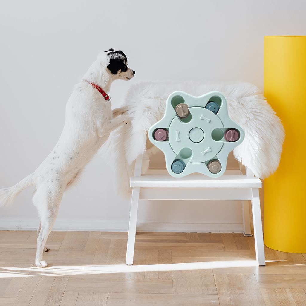 Dog Puzzle Pet Bowl IQ Interactive Slow Eating Feeding Food Bowls Portable Puppy Feeder Container