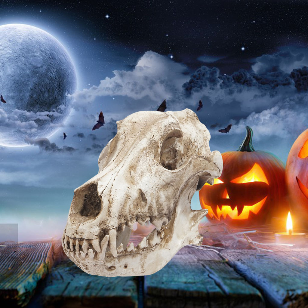 Modern Resin Art Wolf Skull Sculpture Aquarium Ornament Skeleton Statue Turtle Lizard Toy Halloween Office Bedroom