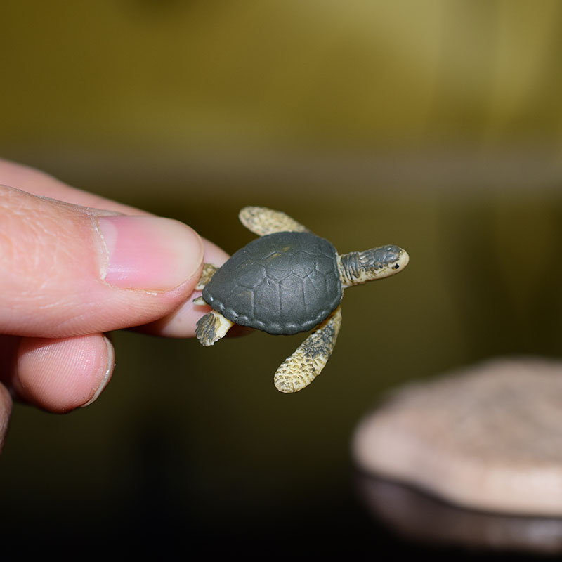 Miniature Oceans Animal Model Turtle Alligator Whale Shark Dolphin Penguin Clownfish Frog Sea World Mini Figurine Decor Toys