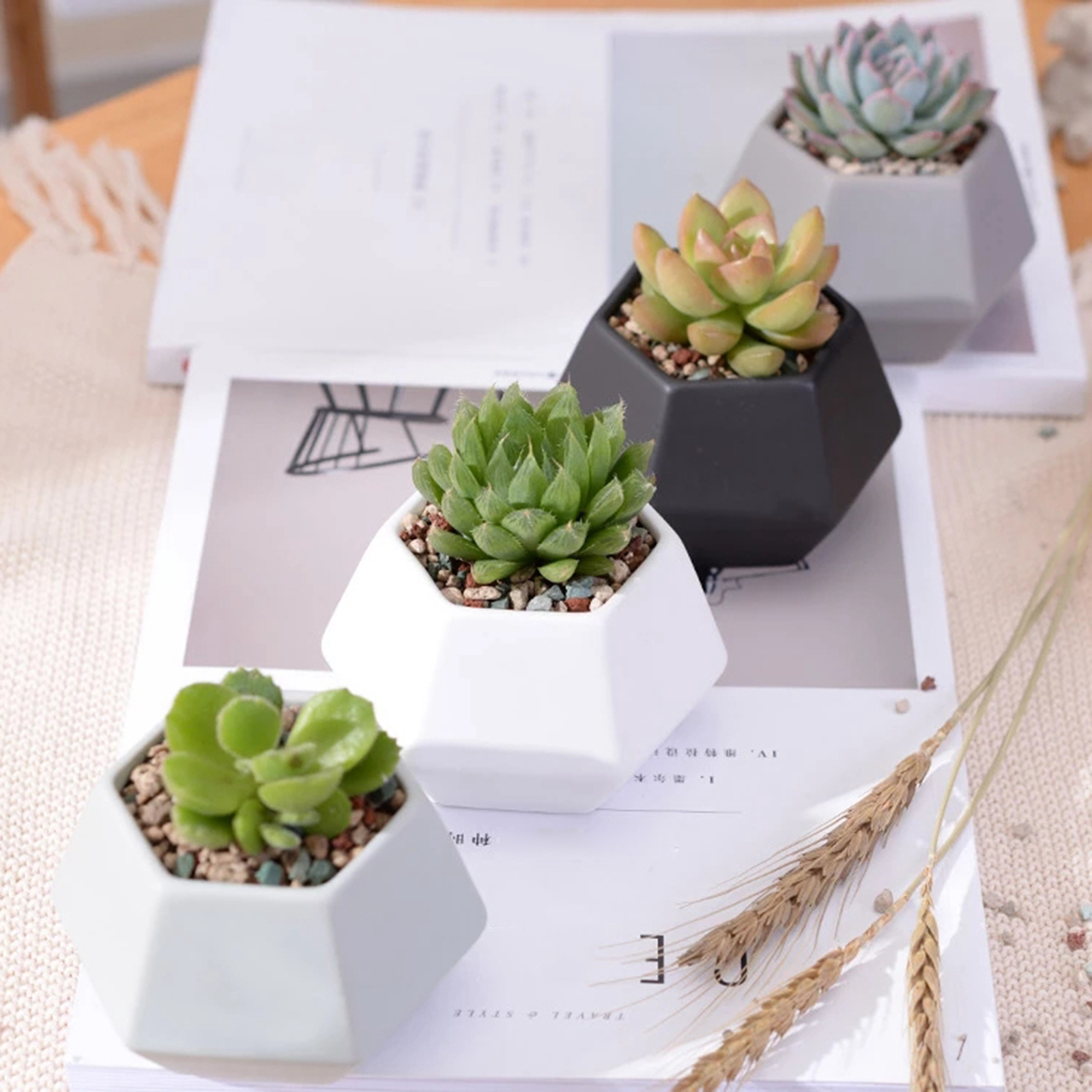4PCS Mini Geometry Planter Pots for Home Office Window -Colorful (Plants NOT