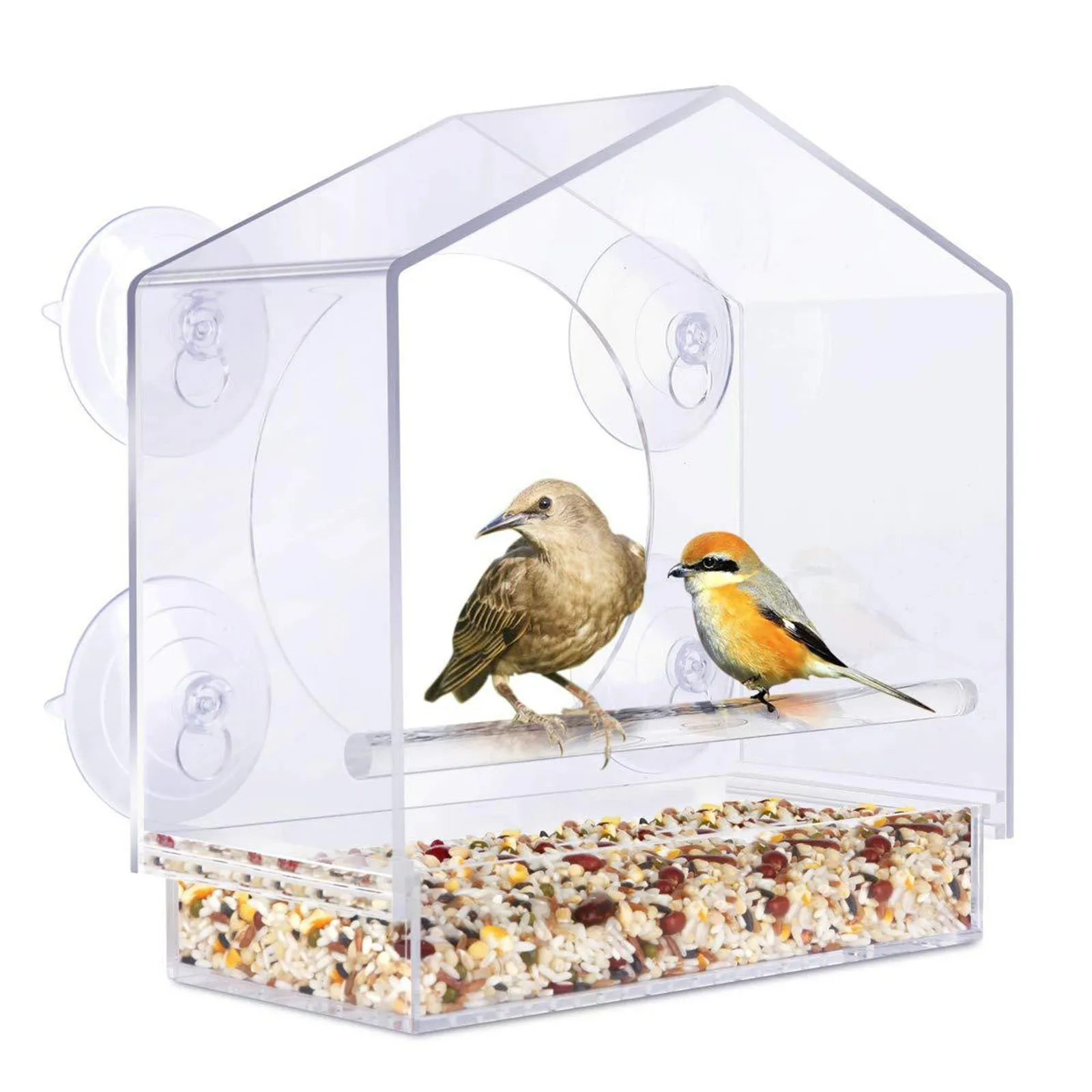 Acrylic Window Suction Cup bowls and bowls Birdhouse Villa bird feeder cage Bird feeder Clear plates and bowls set tableware