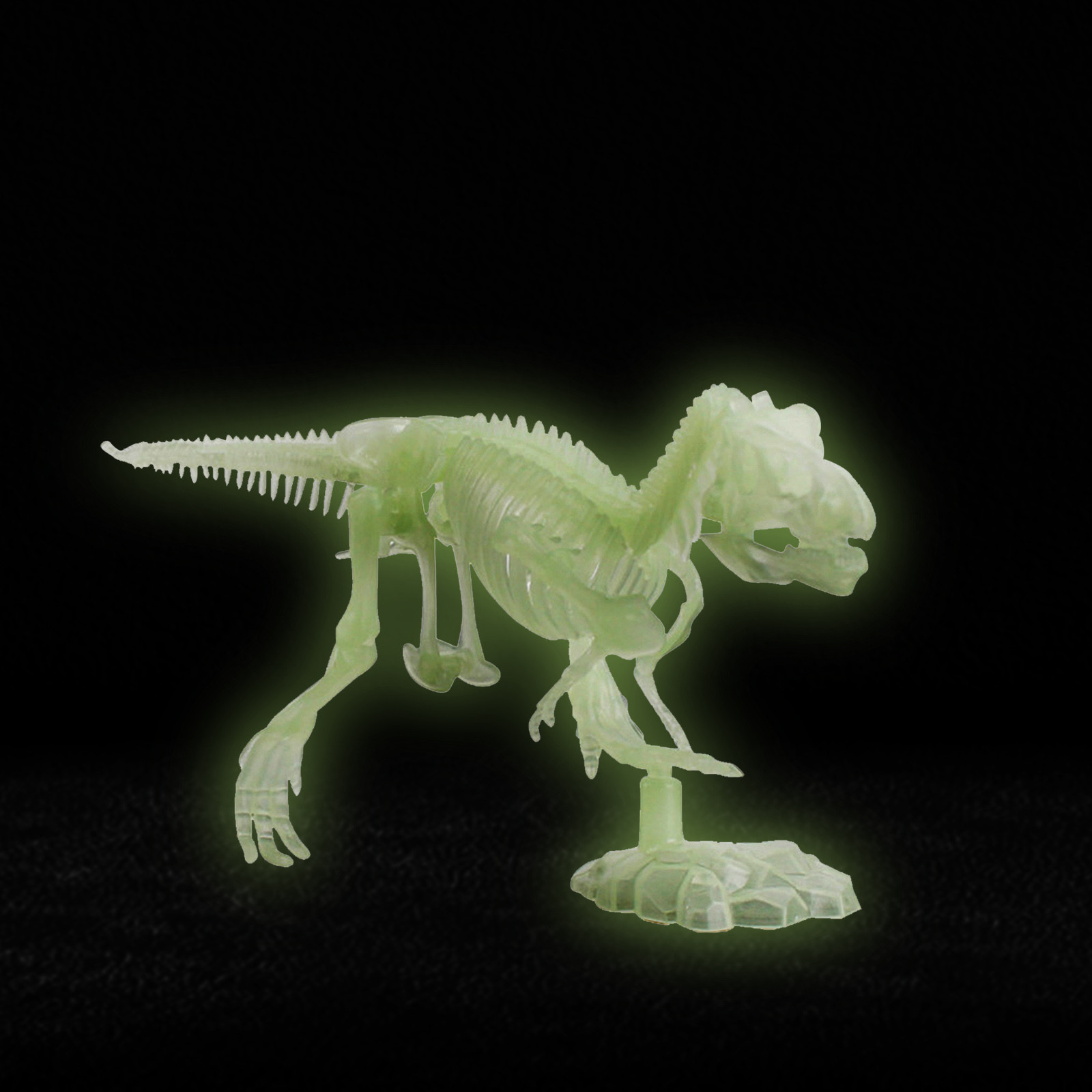 Fluorescentes de Dinossauro para Halloween Modelo de Esqueleto Ossos Humano Caveira Brinquedo Antiestresse Que Brilha no Escuro 8 Ossos fluorescentes de dinossauro para halloween, modelo