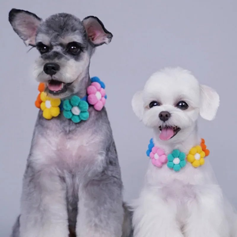 Dos perros pequeños, uno de pelaje gris y otro de pelaje blanco. Ambos llevan coloridos collares en forma de flores con una variedad de colores como amarillo, rosa, azul y naranja.