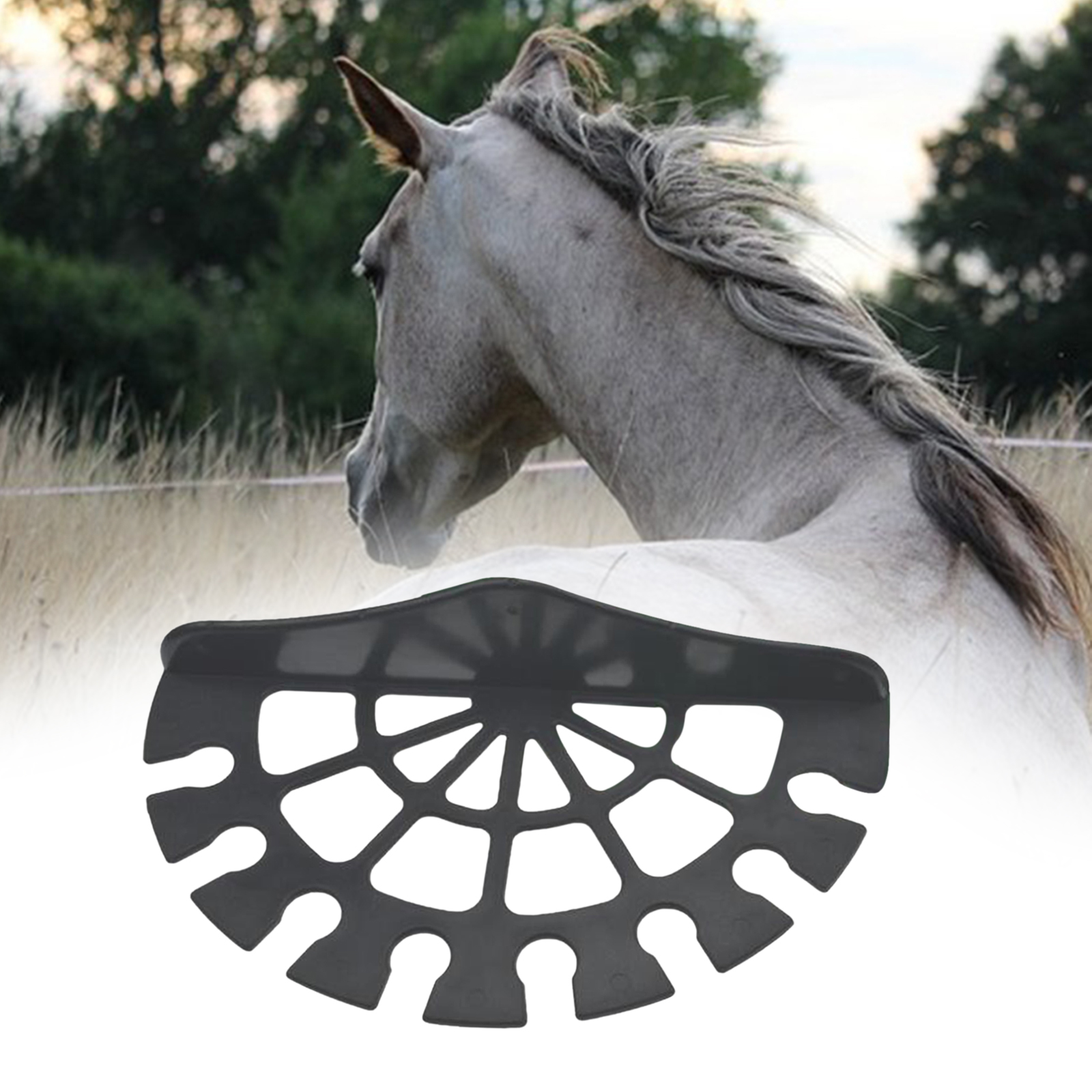 Horse Stables Whip Rack Bracket Hanger Holder Tack Room Accessory Riding Whips Dressage Whips Storage Bracket