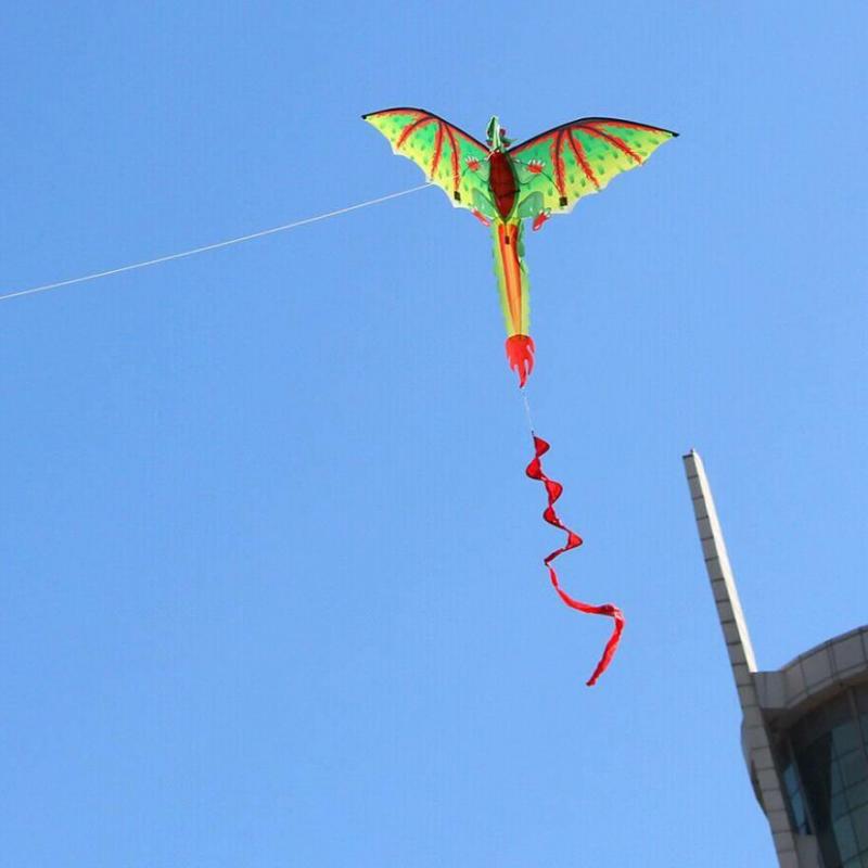 3D Dinosaur Kite Long Tail Design,Easy to Fly 3D Single Line Kite Enjoyable Kite for Adults Kids 3D Kite for Outdoor Beach Park