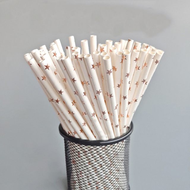 HSMQHJWE Biodegradable Paper Straws, 25Pcs Disposable Drinking