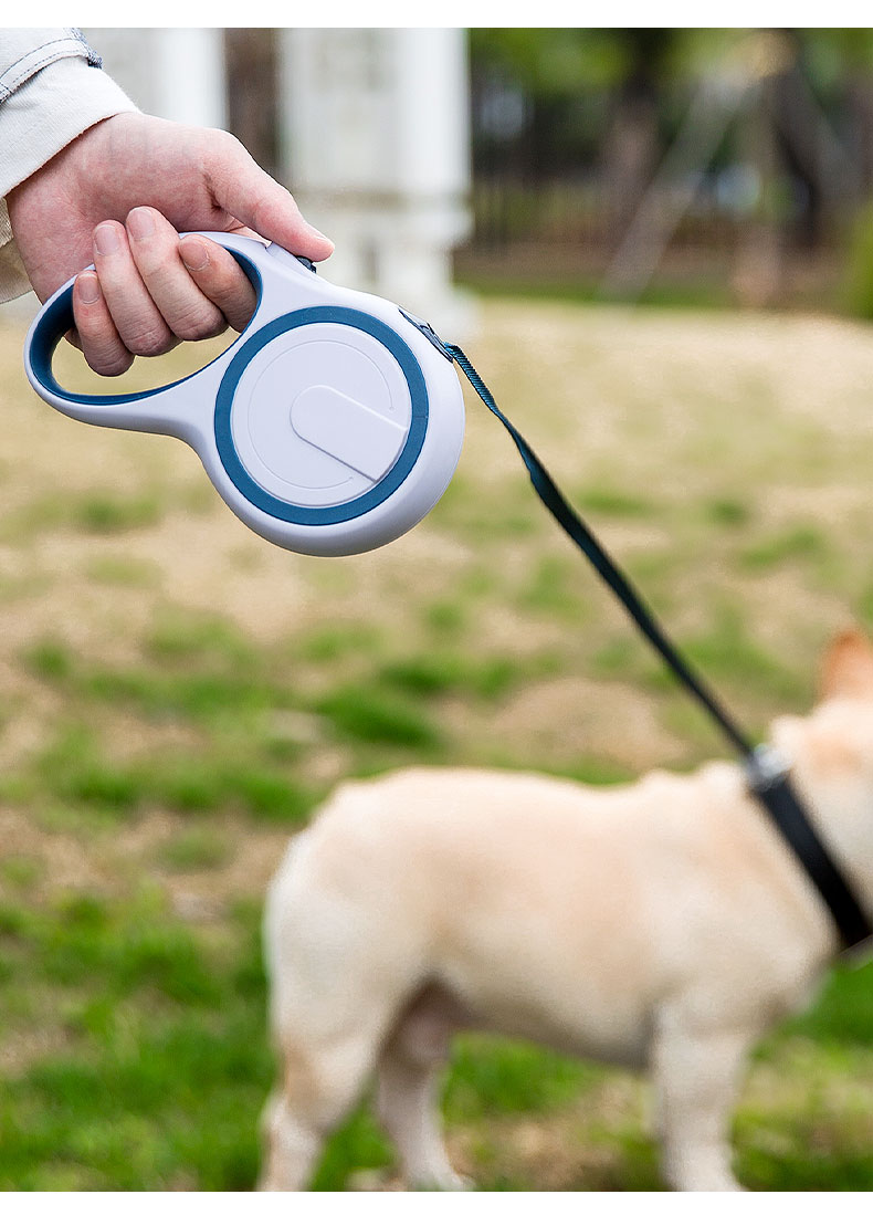 pet valu retractable leash