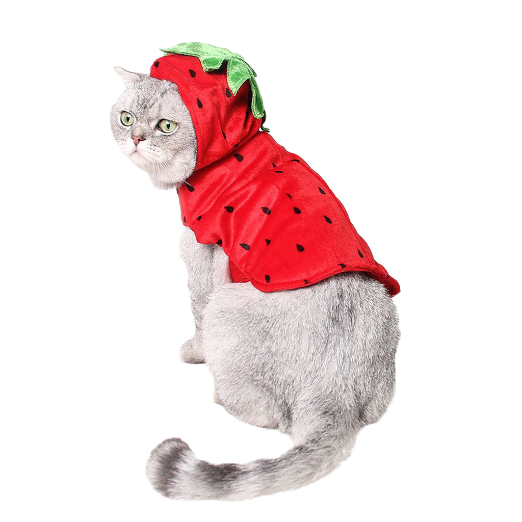 Cute Cat Costume Strawberry Hooded Clothes Halloween Daily Wear Pet Apparel