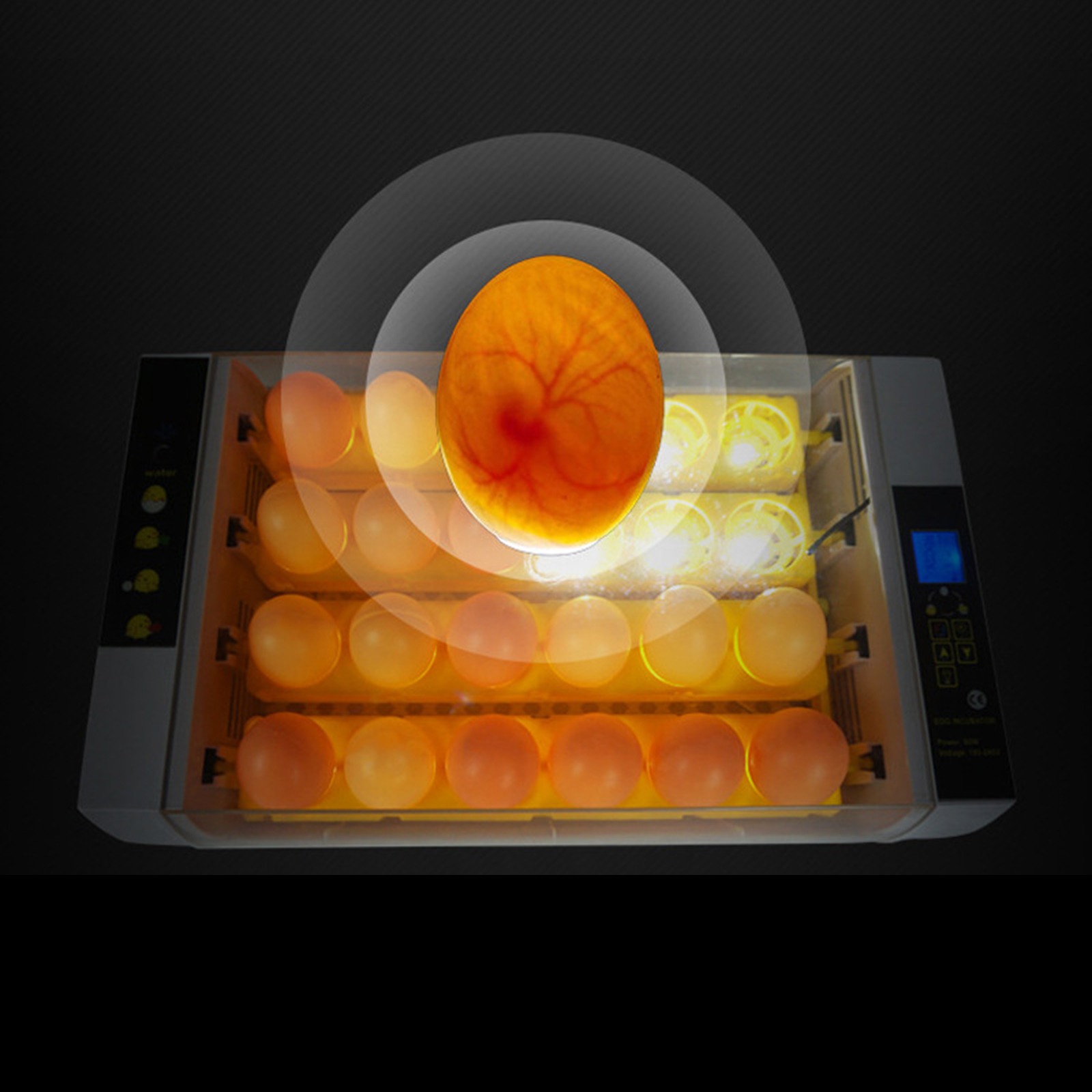 Auto Egg Incubator 24-Egg Automatic Goose Eggs Hatcher Hatching Machine