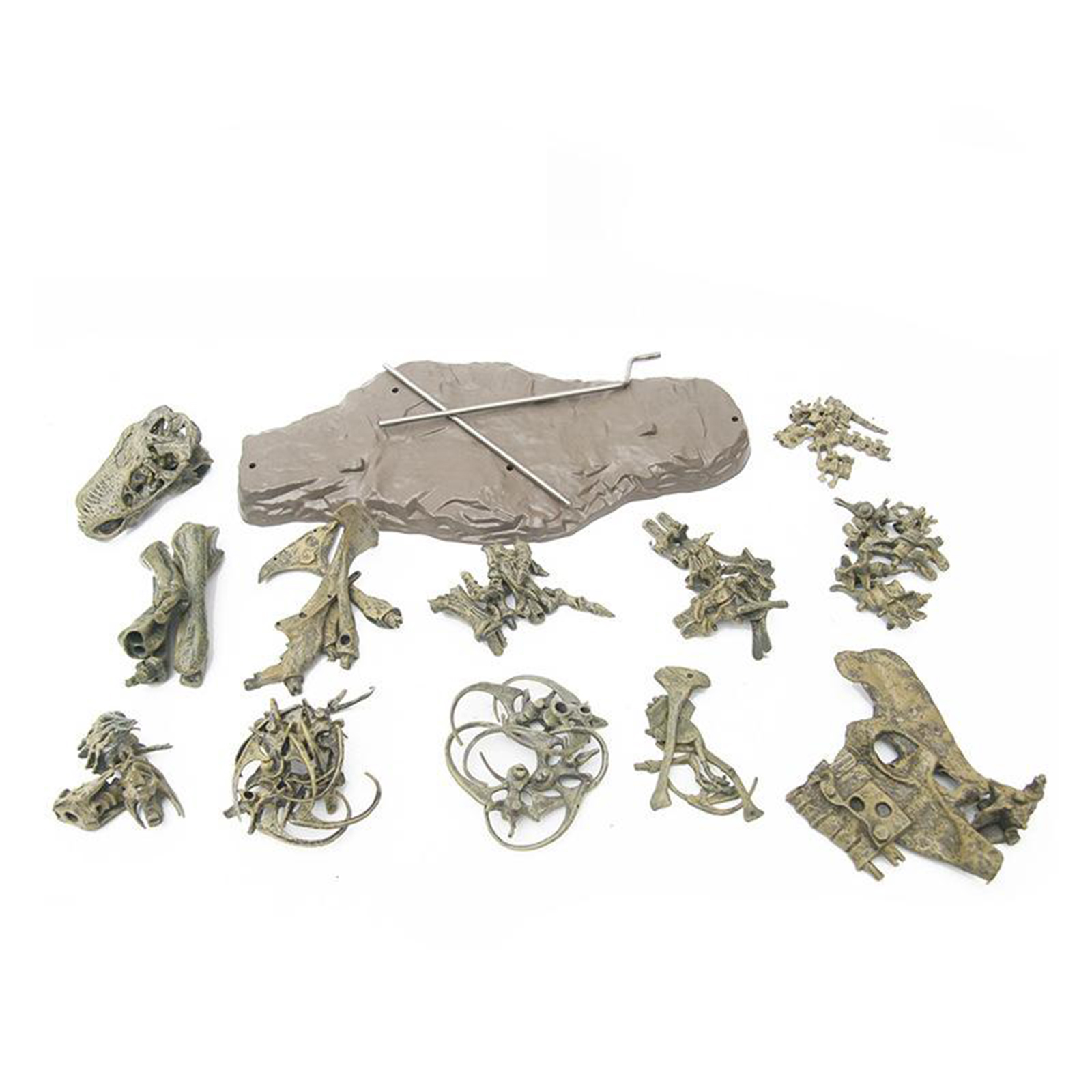4D Dinosaur Skeleton Model Blocks Kit Unassembled Gift for Kids Boys Girls