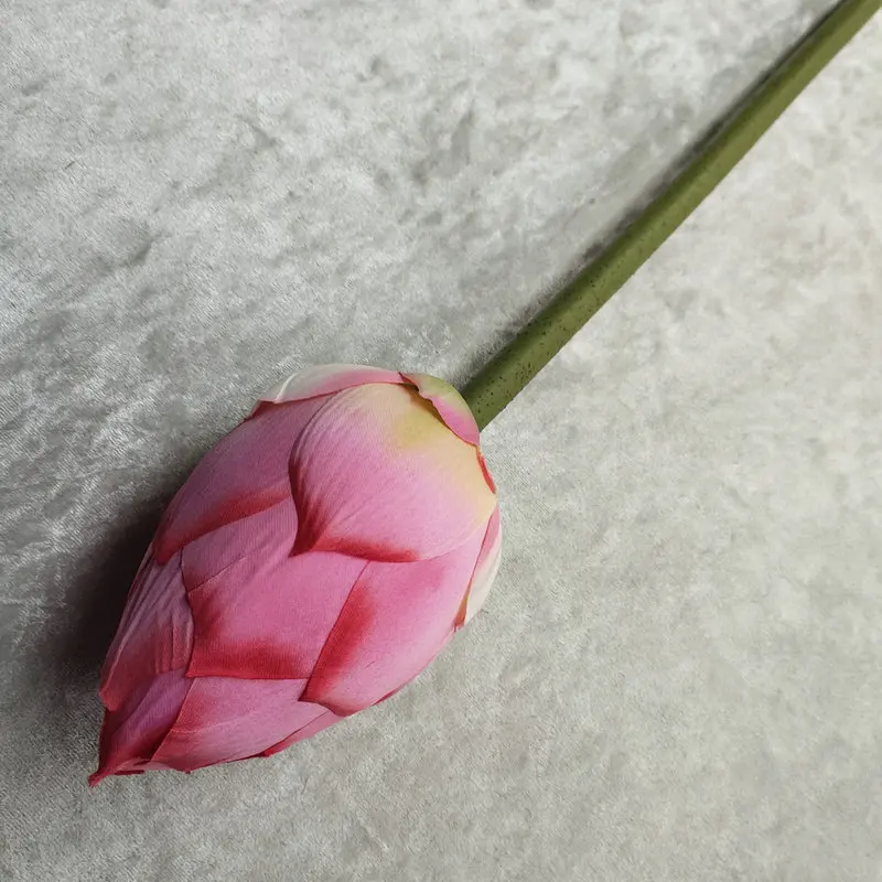 Una sola flor con un tallo largo. La flor tiene una tonalidad rosada con algo de coloración amarillenta en los bordes, lo que podría indicar que está en proceso de apertura o ha sido cortada recientemente.